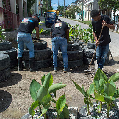 Acciones en la Comunidad